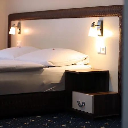 Hotel Stadthotel Miya